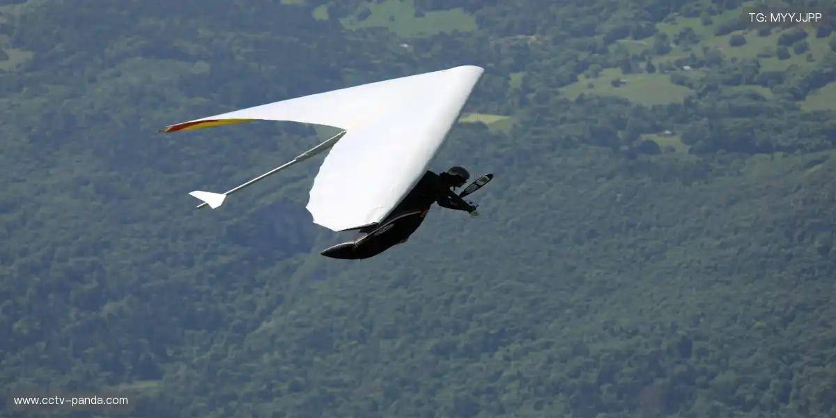 📺 一键回看名场面，精彩瞬间反复品味！🔁